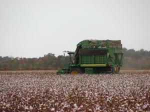 A modern mechanical cotton harvester