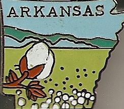 Arkansas Cottton Pin