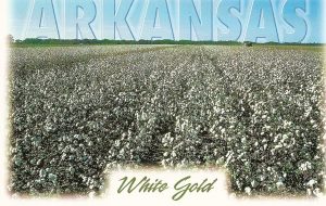Arkansas Cotton field