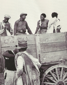 Cotton pickers in wagon