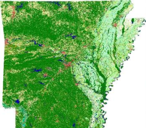 The Arkansas Delta (the light green area on the right side of the photo)