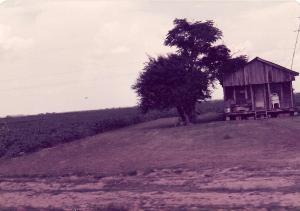 Delta shotgun house (front view)