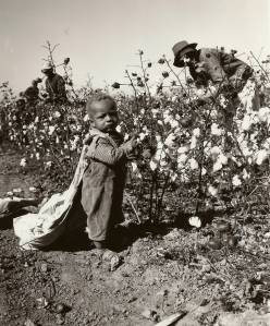 Delta Black Cotton Pickers