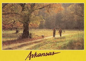 Autumn in Arkansas